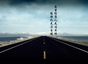 开云体育入口-郁金香复仇，2026世界杯的致命一击，荷兰以血还血横扫挪威