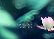 开云体育登录-逆转与铁血，莱万多夫斯基的领袖之夜，美国队在2026世界杯D组焦点战中绝地反击阿联酋