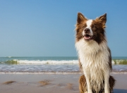 开云-东决焦点战，利物浦如何重写英超秩序，将曼城王朝推至悬崖边缘？