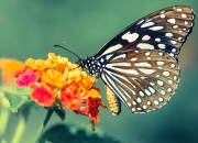 开云体育入口-生涯夜打破质疑，当最冷的刀，斩断开拓者防线