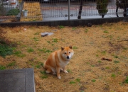 开云体育平台APP-绞索与舞步，当技术殖民的逆流吞噬旧帝国