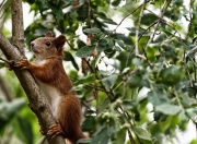 开云平台-布伦森案例教学现场，吉林队正面击溃山西队的战术解析