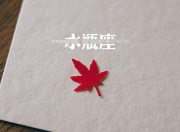 开云体育入口-足球世界的共振，从德甲争冠夜到伊拉克的荣耀之战