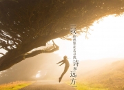 开云平台-橙色郁金香与枫叶的对决，凯塞多如何一锤定音，点亮荷兰的血拼之夜