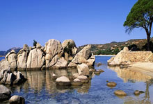 开云官网-终章与序曲，F1争冠夜的绿茵回响