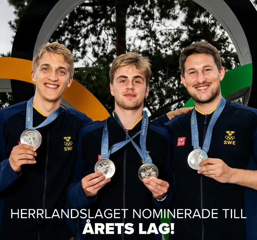 瑞典挑战乌克兰,豪取欧洲杯强 瑞典挑战乌克兰,豪取欧洲杯强