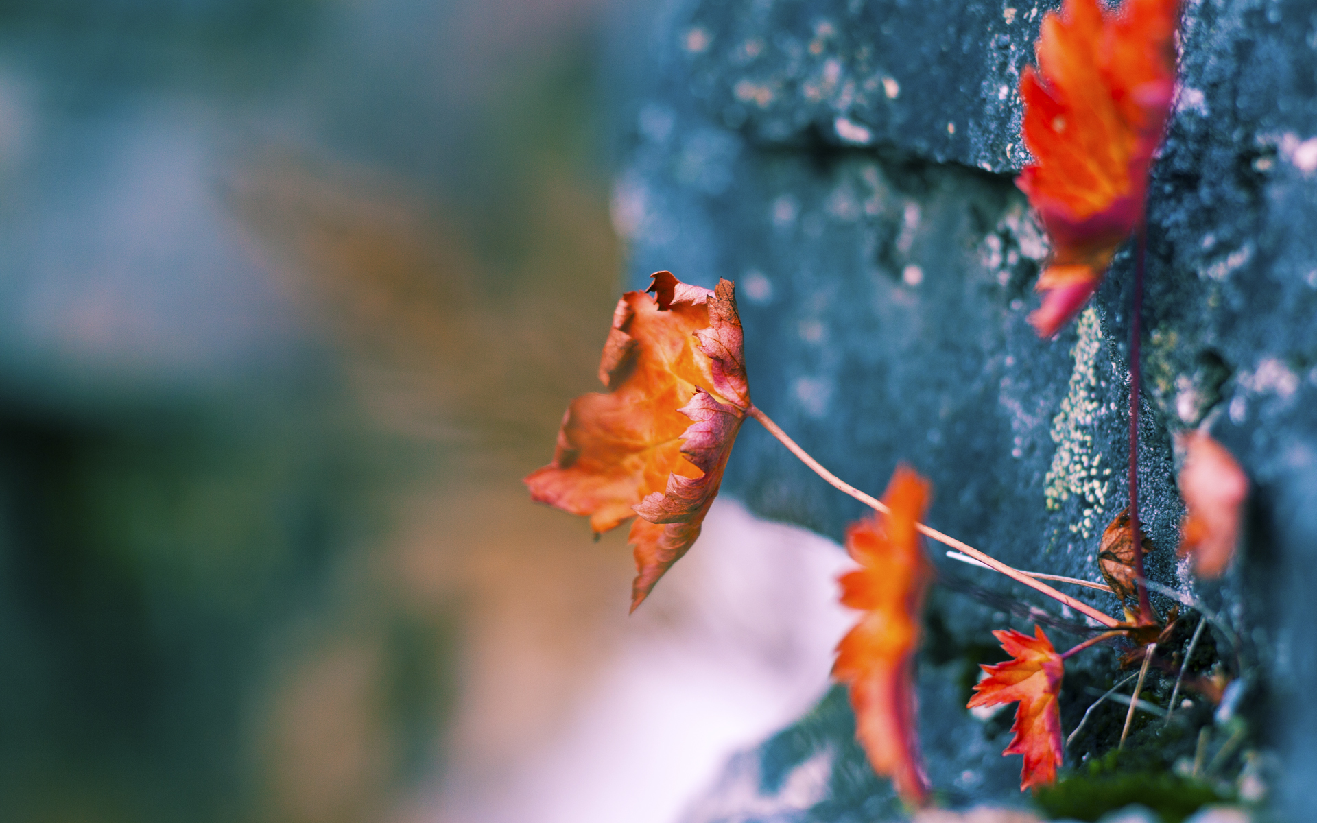 断裂层，卡塞米罗的爆射与芬兰的强行终结—当秩序被瞬间洞穿