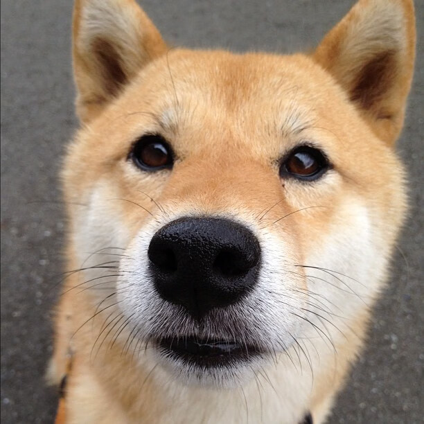 当风暴眼萨内与橙色洪流相遇，现代足球的双重压制美学