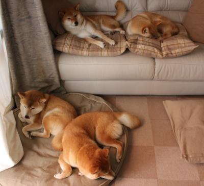 跨界巅峰对决，美加墨世界杯焦点战背后的数字密码与76人压制吉林队的战术镜像