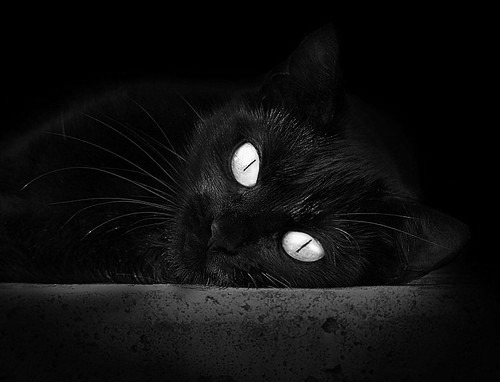 弗拉霍维奇惊世一击射落双星,莱比锡红牛对阵国际米兰的悬念提前消失