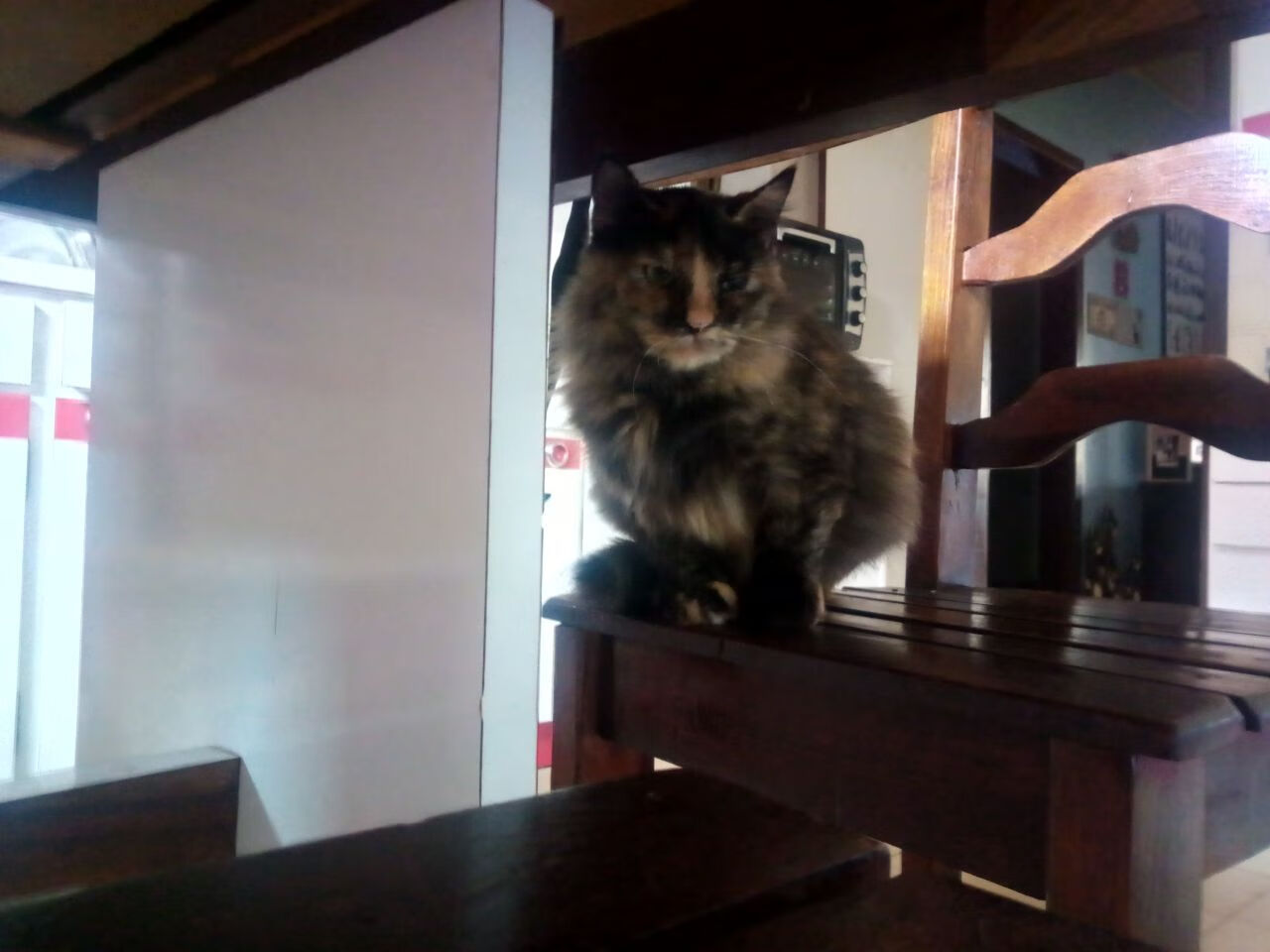 布伦森案例教学现场,吉林队正面击溃山西队的战术解析