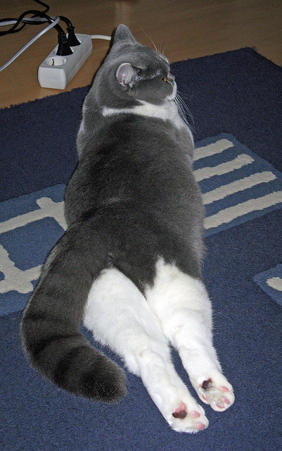 凤凰城的暗夜，布伦森冰与火之魂的救赎之路