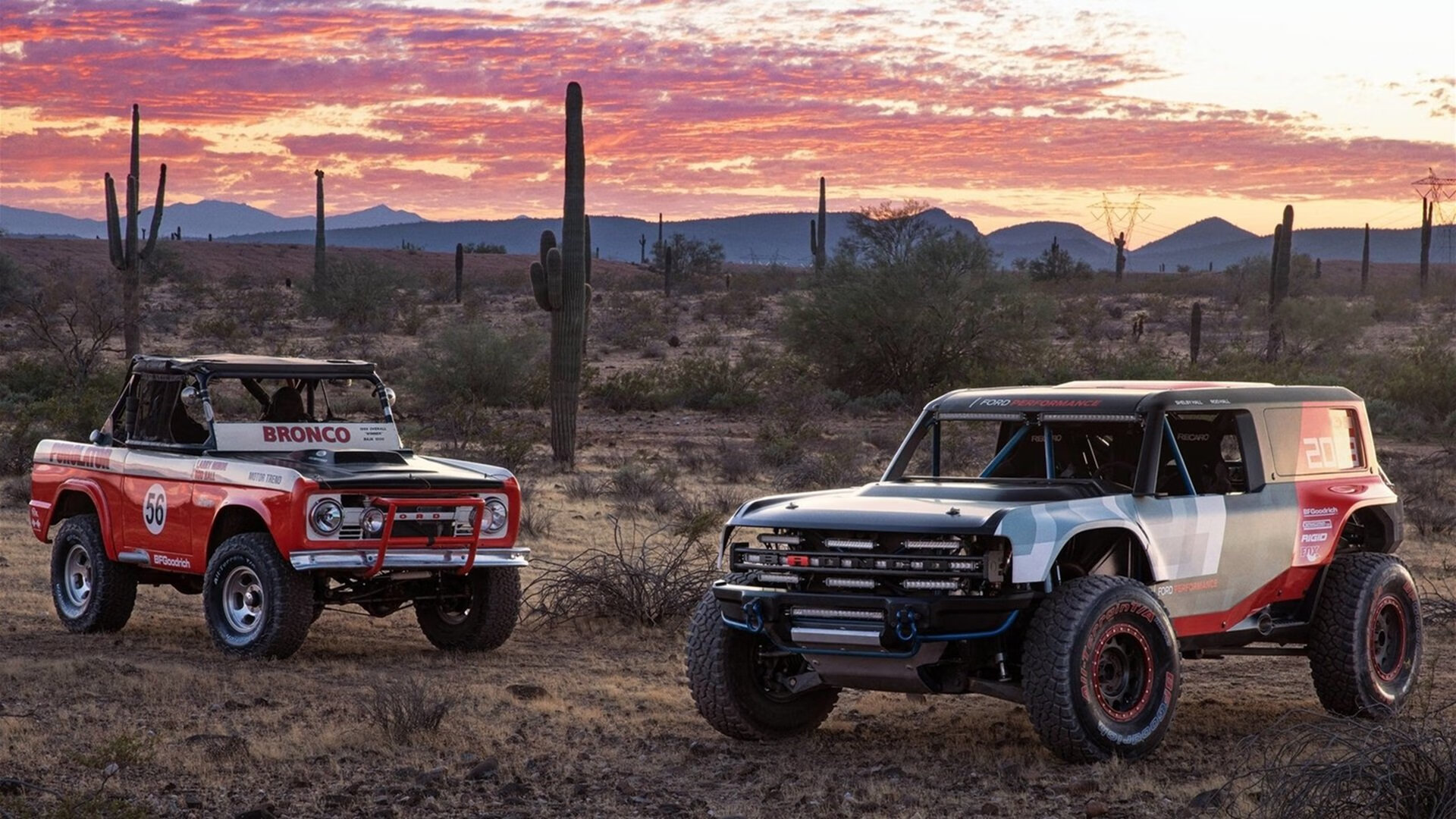 暗夜破晓—贝恩化身锋锐匕首,森林狼速胜撕破快船防线