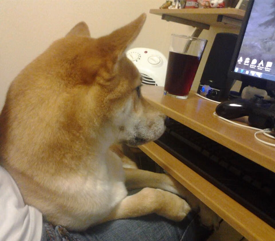 终极棋局，芬兰如何用冰封脉络战术破解东方密码？