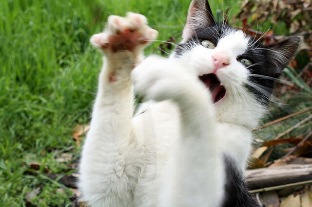 维斯塔潘的时代终结之夜，一个争议车手的自我救赎