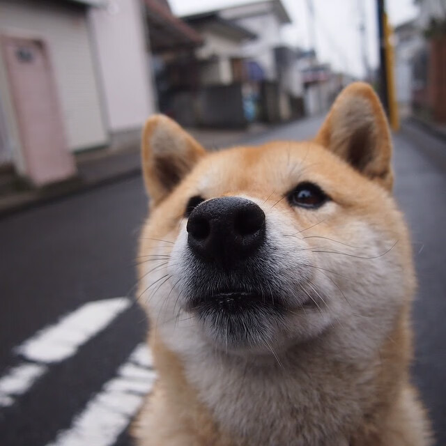 凯塞多的渡河时刻,当韩国铁骑在梦剧场击碎红魔的叹息