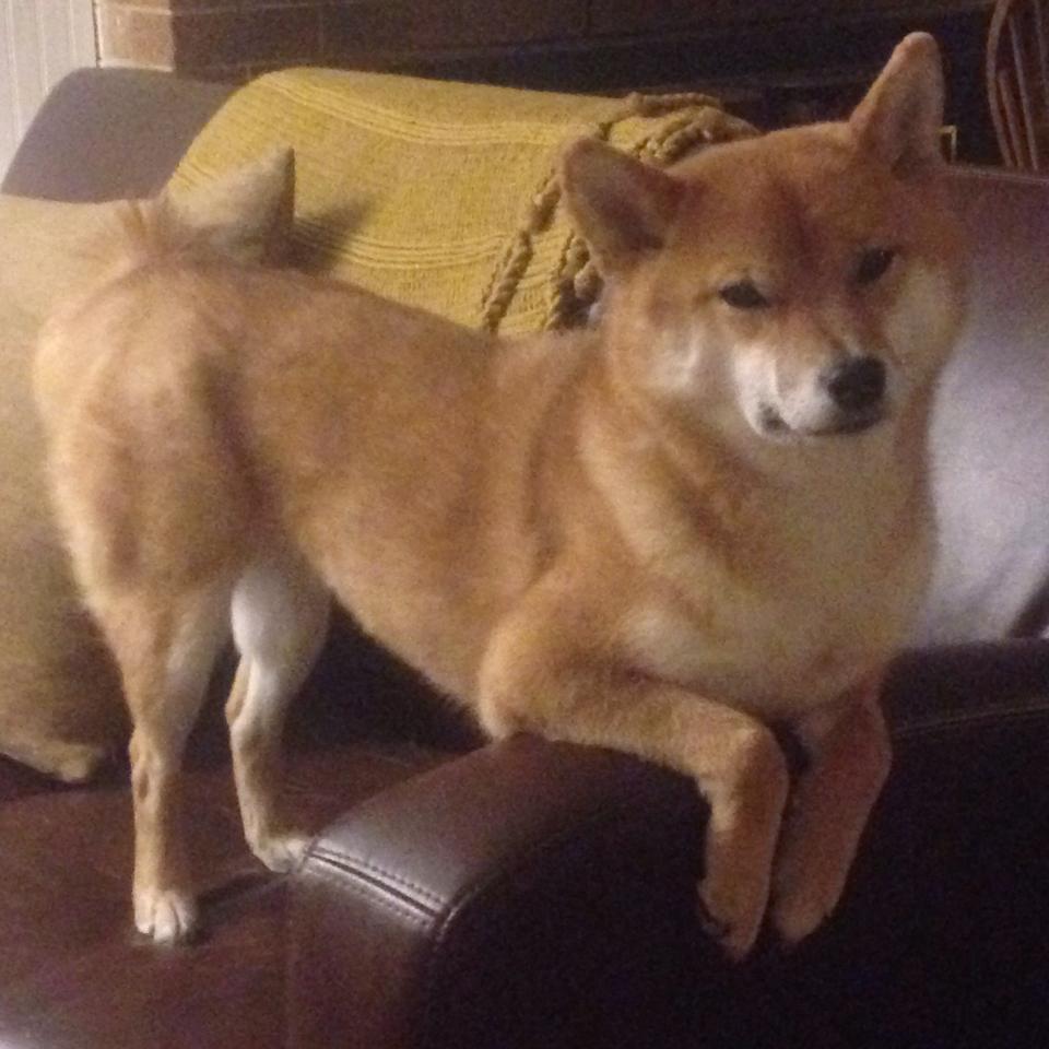 当非洲雄鹰遇见红蓝军团,莫德里奇的时间游戏