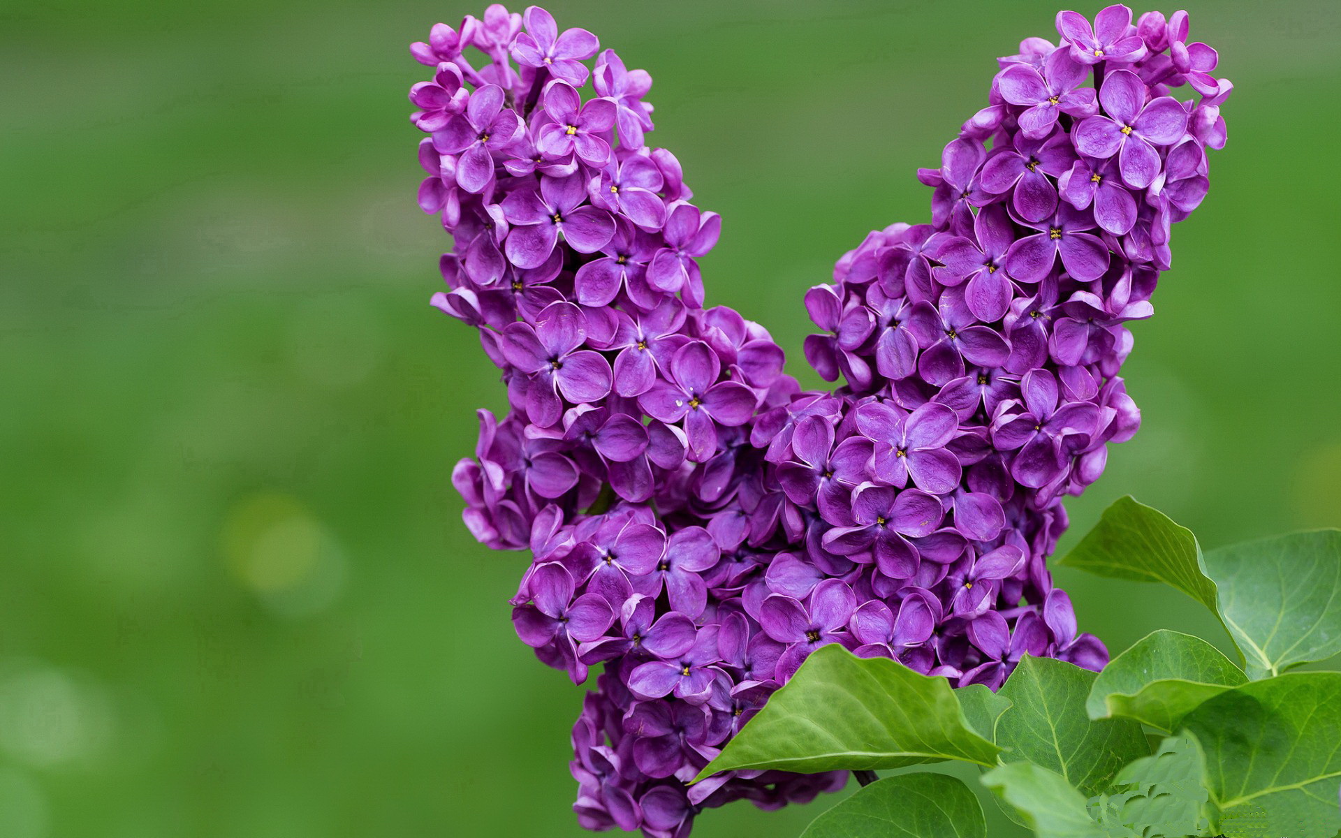 平行宇宙的篮球狂欢,骑士与辽宁的地球德比引发跨界风暴