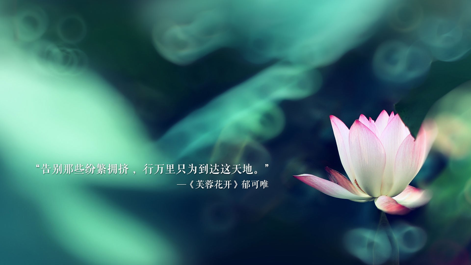 逆转与铁血，莱万多夫斯基的领袖之夜，美国队在2026世界杯D组焦点战中绝地反击阿联酋
