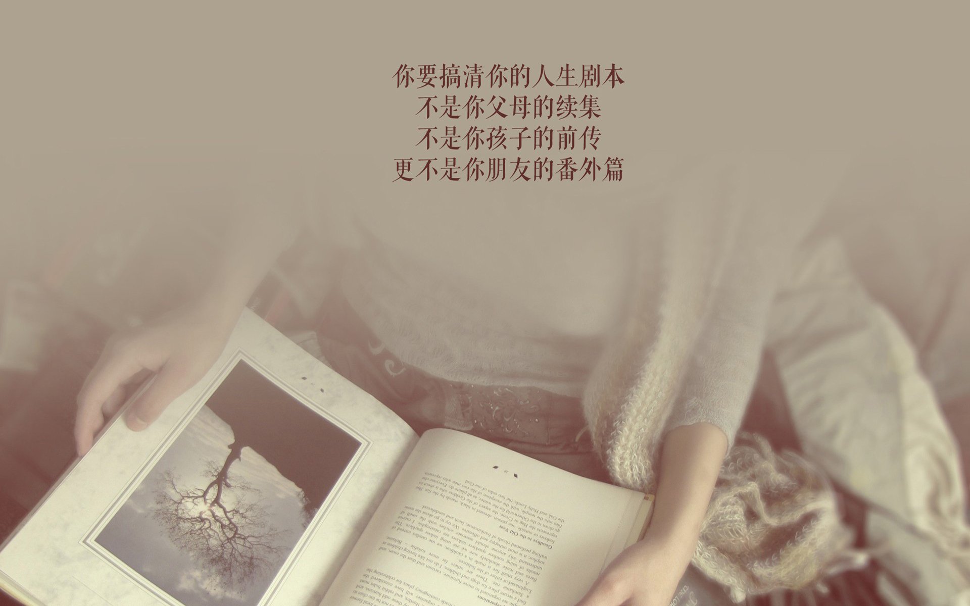 逆转之夜,阿方索·戴维斯的不朽时刻—2026世界杯H组焦点战,匈牙利绝地翻盘韩国